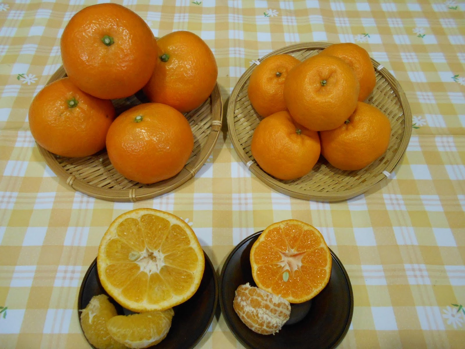 市場だより いよかん ポンカン 放送日1月15日