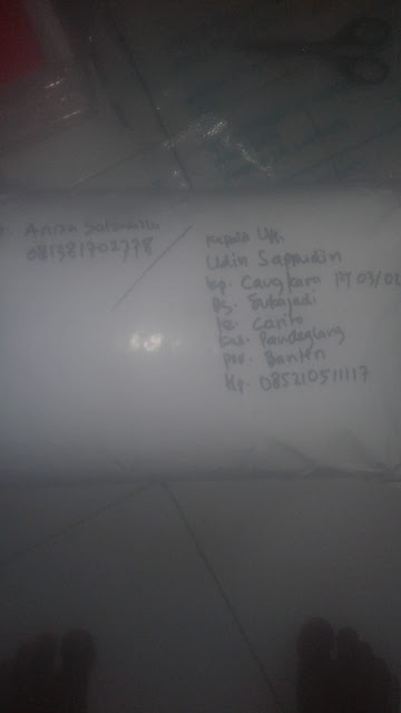 BENIH PADI INPAGO UNSOED 1 (PADI DARAT/LADANG/GOGO RANCAH)