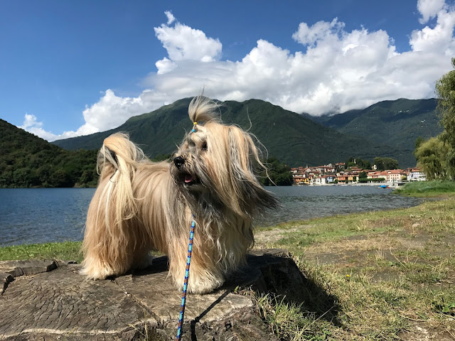 Lago di Mergozzo northern Italy lake