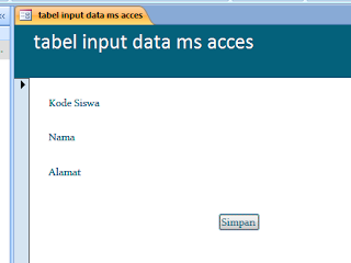 Input data access