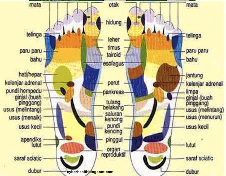 Cyber Health: Titik Refleksi (titik pusat urat saraf) di 