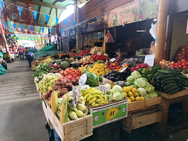 Ruta de las Ferias: sábado 16 de marzo - Feria PAC Osorno