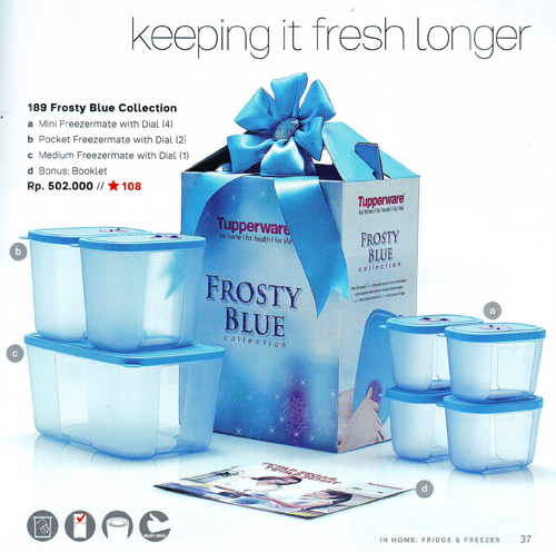 Tupperware Frosty Blue