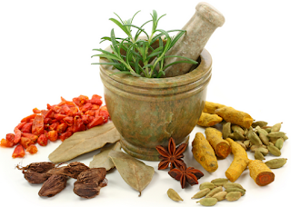  Tanaman herbal obat kencing nanah dan sipilis