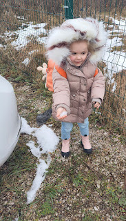 Rosie with some snow