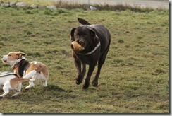 IMG_9073