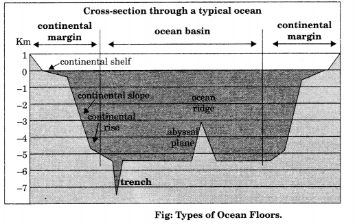 Solutions Class 11 Geography Chapter-13 Water (Oceans)
