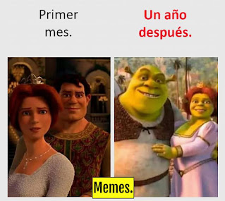 10 Memes de Sherk