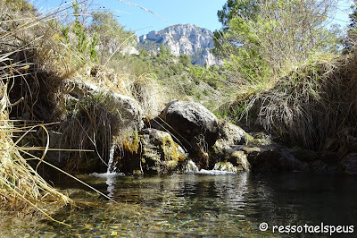 Ruta circular al Roc de Galliner, a la muntanya d'Alinyà