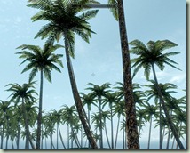 ScreenShot231