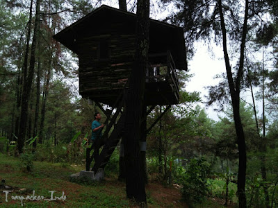 Rumah pohon taman dayu