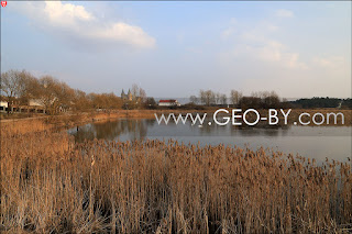 Rakow. Lake with swans. Landscape