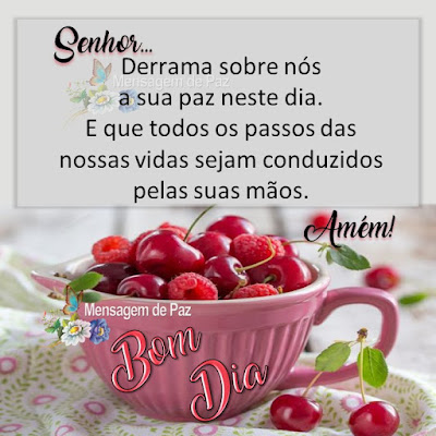 Derrama sobre nós a sua paz neste dia. E que todos os passos das nossas vidas sejam conduzidos pelas suas mãos. Amém! Bom Dia!