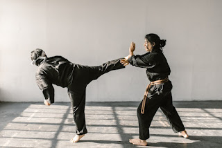 How do I learn self defense and martial arts in India? I want to be a pro in this. I am a transwoman and I need to myself from society.