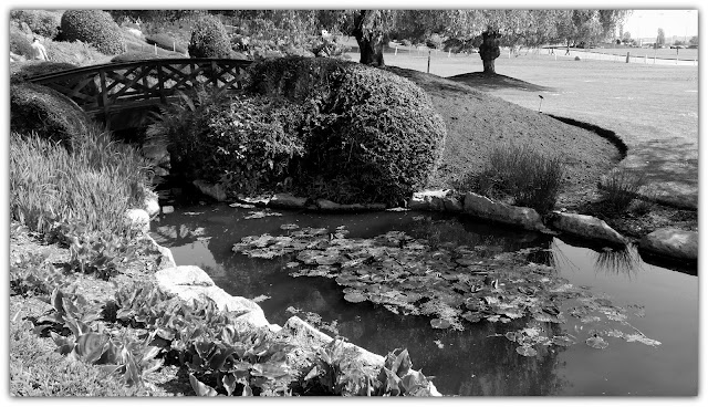 Beautiful pond and nice little bridge