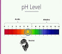 Body ph