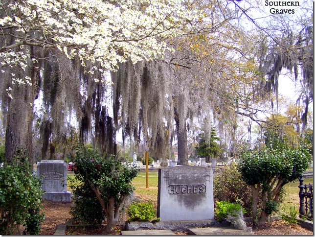 Evergreen Cemetery March 2008 004