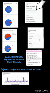 Resim