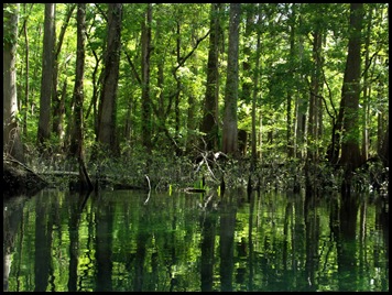 kayaking the Ichtucknee 193