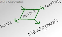 Risk Audit Project Management