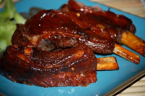 Crockpot rib recipes