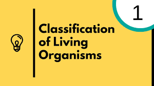 Characteristics and Classification of Lliving Organisms