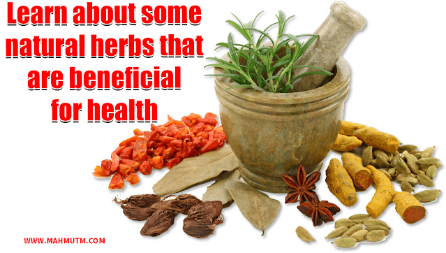 Learn about some natural herbs that are beneficial for health