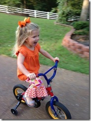 bike3