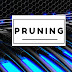 Pruning