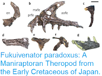 http://sciencythoughts.blogspot.co.uk/2016/03/fukuivenator-paradoxus-maniraptoran.html