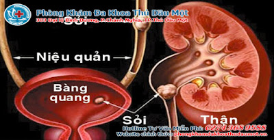 Ung thư có thể dự đoán thông qua hình dáng cậu nhỏ