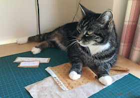 Suzi the Cat helps with Dear Jane cutting out.