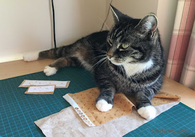 Suzi the Cat helps with Dear Jane cutting out.