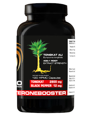 Natural Testosteron Booster kaufen