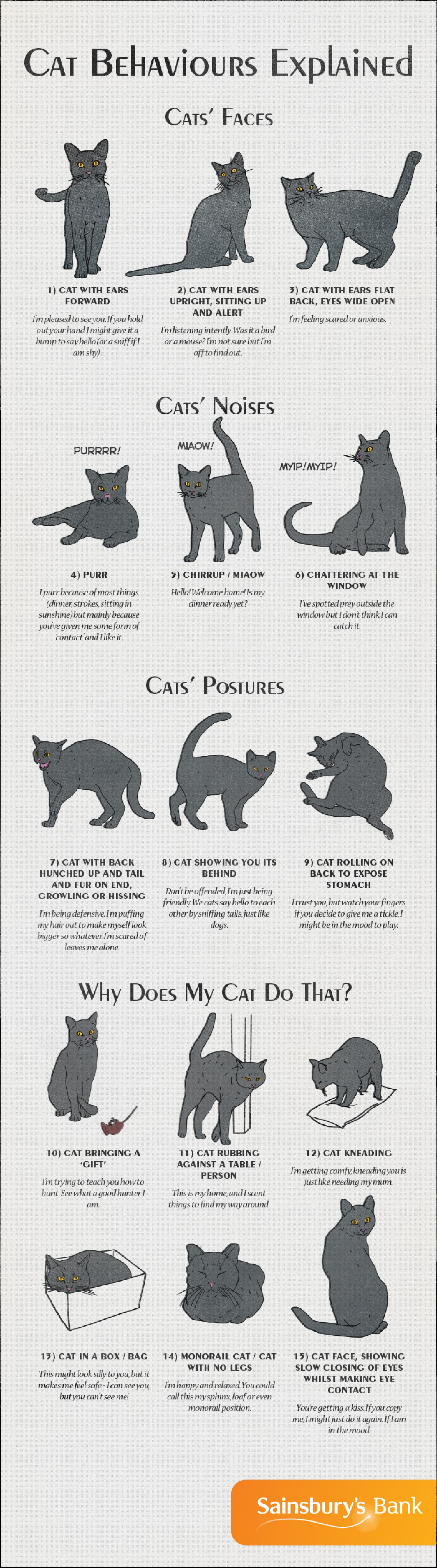 Cat behaviors chart