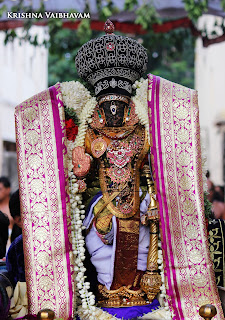 Kodai UTsavam,Thiruvallikeni, Sri PArthasarathy Perumal, Temple, 2017, Video, Divya Prabhandam,Utsavam,