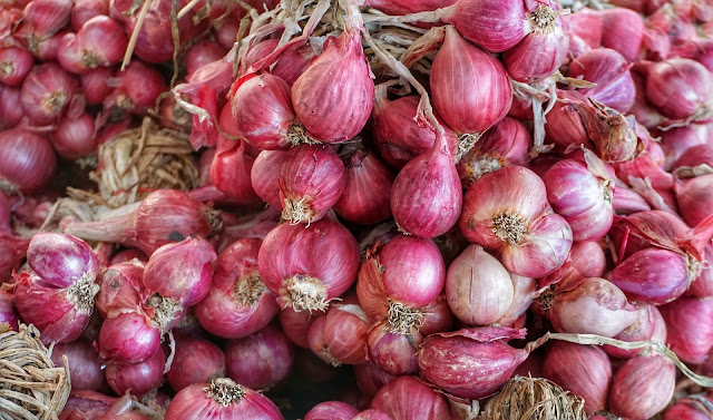 Budidaya Bawang merah di halaman rumah - Peluang Masa Corona