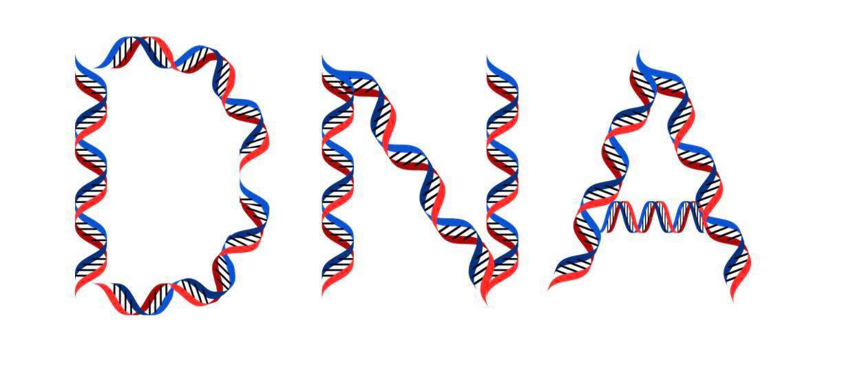 National DNA Day Wishes Sweet Images