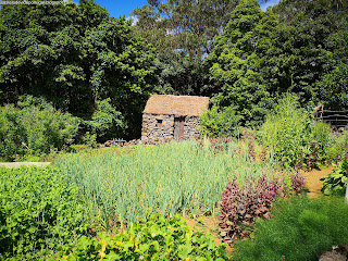 PORTUGAL / Quinta do Martelo, Ilha Terceira, Açores, Portugal