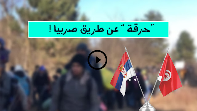 بالفيديو : 10 آلاف تونسي وصلوا أوروبا عبر " صربيا " بتكلفة 20 مليون !