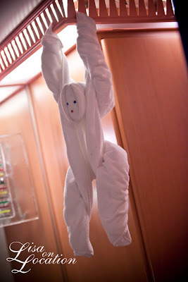 Carnival Conquest cruise ship towel animal monkey, photo by Lisa On Location Photography