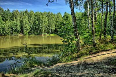 Smolnica - Pond Toń