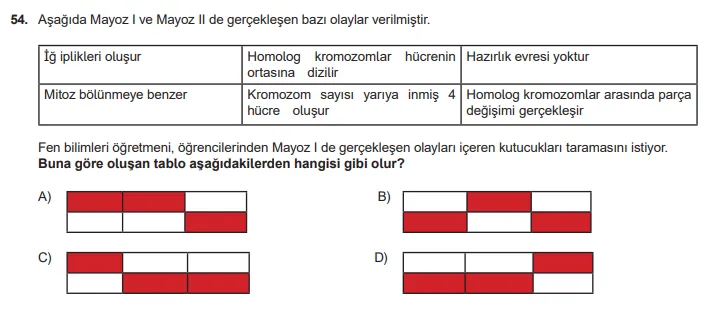 7.Sınıf Mayoz Test Pdf