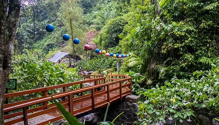 Jembatan Kayu yang Instagramable di Srambang Park