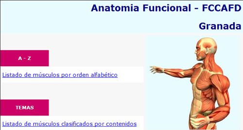 Programa de anatomía funcional músculo esquelético de la Universidad de Granada