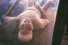 Horror of Pompei