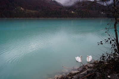 Lake of Barcis Lago di Barcis Italy