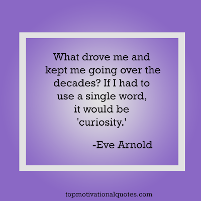What drove me and kept me  going over the decades?  If I had to use a single word, it would be 'curiosity.'   Eve Arnold - Motivational Quote of the day