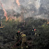  Μαίνεται η φωτιά στη Χίο: Ισχυρές δυνάμεις στην κατάσβεση - Συνελήφθη ο οδηγός που την προκάλεσε