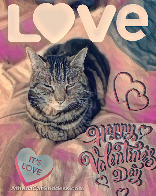 Tabby cat Valentine's card